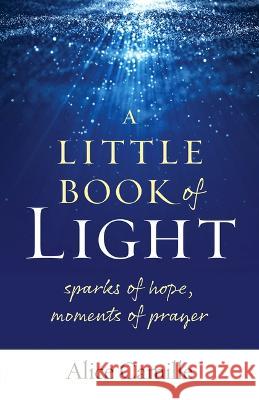 A Little Book of Light: Sparks of Hope, Moments of Prayer Alice Camille 9781627857031 Twenty-Third Publications - książka