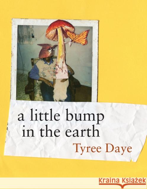 a little bump in the earth Tyree Daye 9781556596889 Copper Canyon Press,U.S. - książka