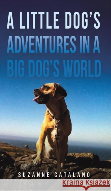 A Little Dog's Adventures in a Big Dog's World Suzanne Catalano 9781685628222 Austin Macauley Publishers - książka