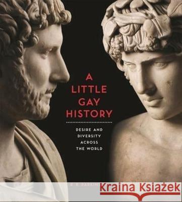 A Little Gay History: Desire and Diversity Across the World R. B. Parkinson 9780231166638 Columbia University Press - książka