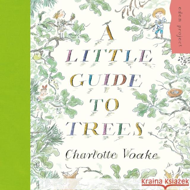 A Little Guide to Trees Charlotte Voake 9781903919828 Penguin Random House Children's UK - książka
