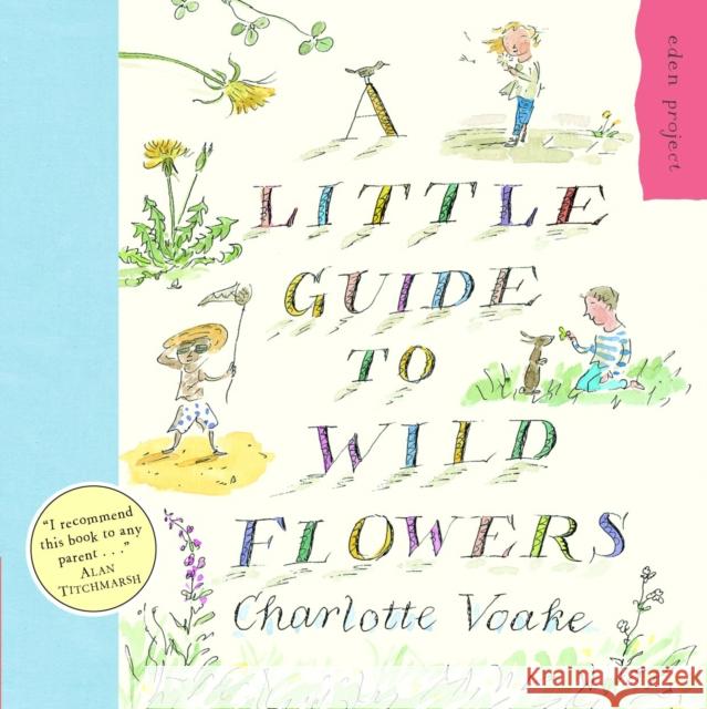 A Little Guide To Wild Flowers Charlotte Voake 9781903919118 Penguin Random House Children's UK - książka