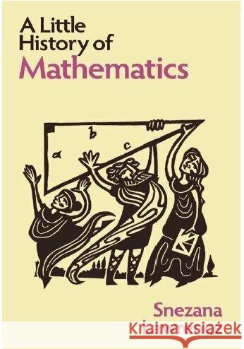 A Little History of Mathematics Lawrence, Snezana 9780300273731 Yale University Press - książka