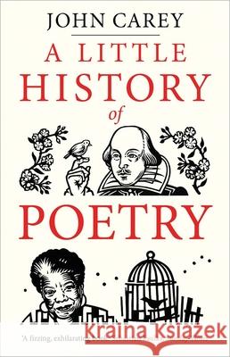 A Little History of Poetry John Carey 9780300255034 Yale University Press - książka