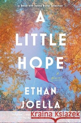 A Little Hope Ethan Joella 9781982171209 Scribner Book Company - książka