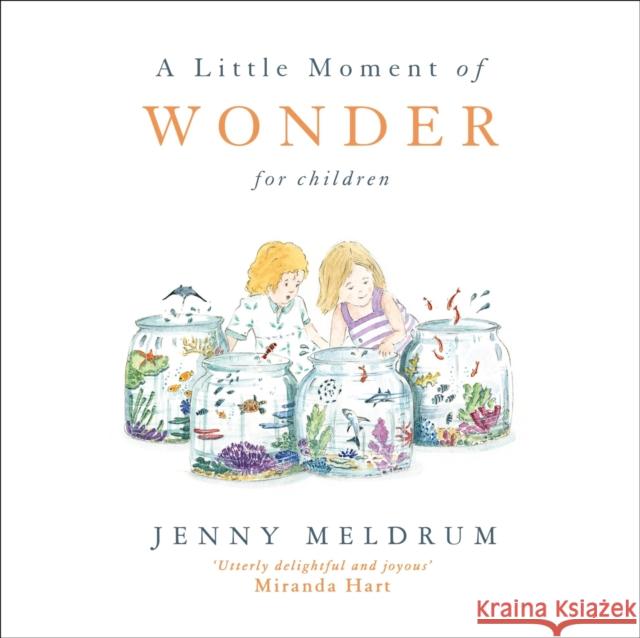 A Little Moment of Wonder for Children Meldrum, Jenny 9781473691735 John Murray Press - książka