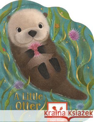 A Little Otter Rosalee Wren Sydney Hanson Cottage Door Press 9781680527780 Cottage Door Press - książka