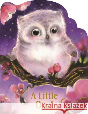A Little Owl Cottage Door Press                       Jennifer Meyer 9781680526318 Cottage Door Press - książka