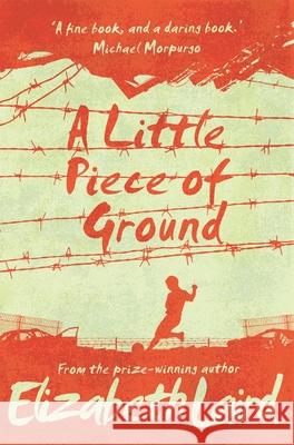 A Little Piece of Ground: 15th Anniversary Edition Elizabeth Laird   9781509887637 Pan Macmillan - książka