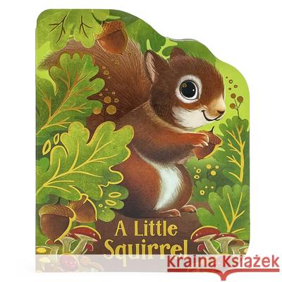 A Little Squirrel Cottage Door Press 9781646386420 Cottage Door Press - książka