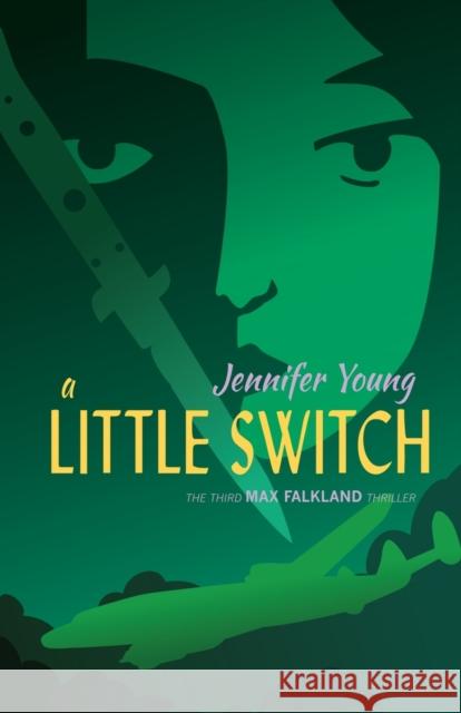 A Little Switch Jennifer Young 9781788641227 Cinnamon Press - książka