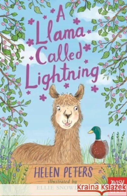 A Llama Called Lightning Helen Peters 9781839948725 Nosy Crow Ltd - książka