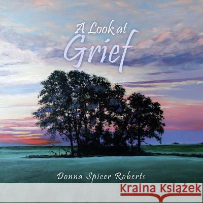 A Look at Grief Donna Spicer Roberts 9781546263494 Authorhouse - książka