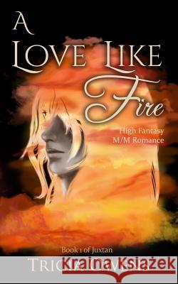 A Love Like Fire: High Fantasy M/M Romance Tricia Owens 9781796405132 Independently Published - książka