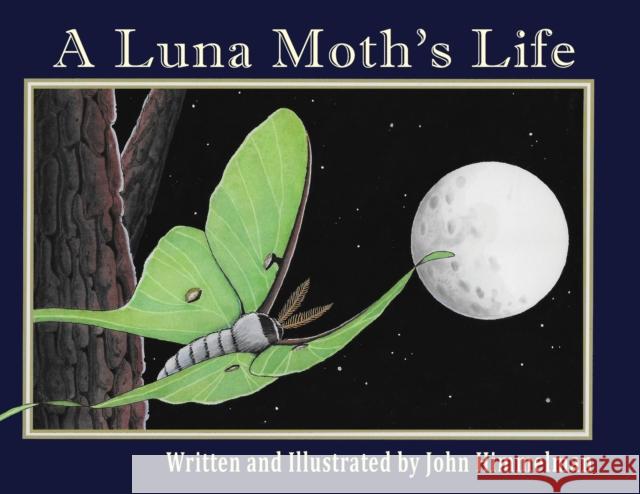 A Luna Moth's Life John Himmelman, John Himmelman 9781956381184 Mazo Publishers - książka