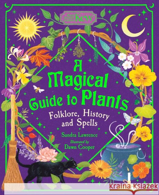 A Magical Guide to Plants: Folklore, History and Spells Sandra Lawrence 9781803381633 Hachette Children's Group - książka