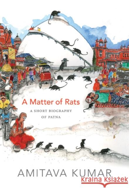A Matter of Rats: A Short Biography of Patna Kumar, Amitava 9780822357049 Duke University Press - książka