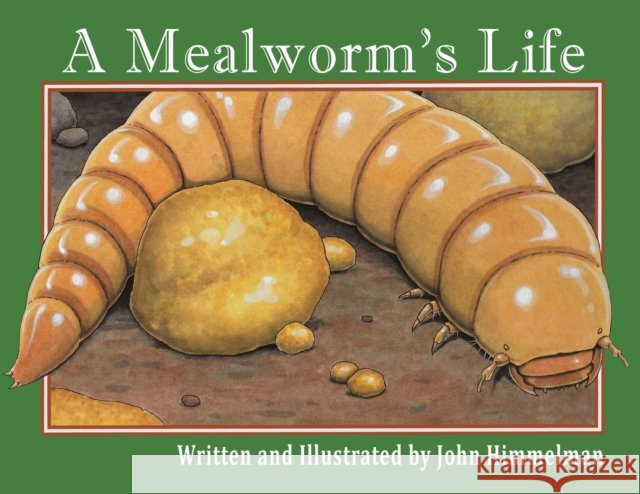 A Mealworm's Life John Himmelman 9781956381160 Mazo Publishers - książka