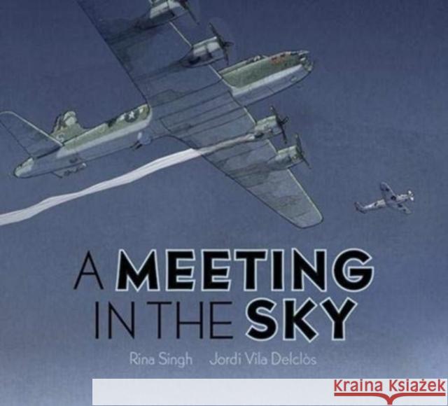 A Meeting in the Sky Rina Singh Jordi Vila Delclos 9781568463100 Creative Company,US - książka