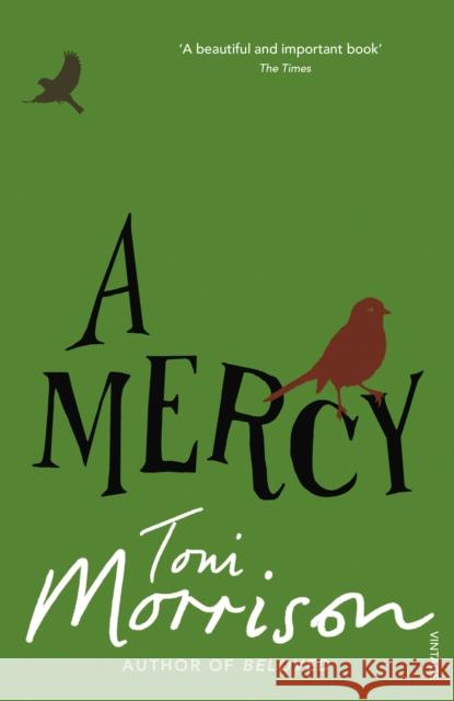 A Mercy Toni Morrison 9780099502548 Vintage Publishing - książka