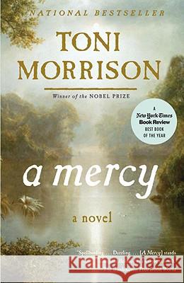 A Mercy Toni Morrison 9780307276766 Vintage Books USA - książka