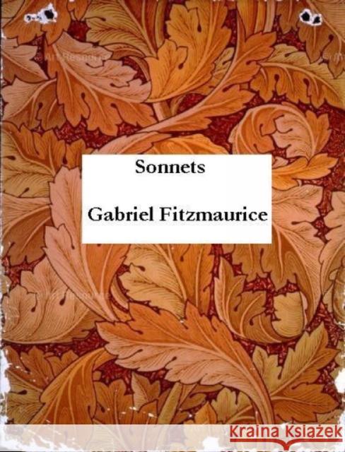 A Middle-Aged Orpheus Looks Back at His Life Fitzmaurice, Gabriel 9781907593611  - książka