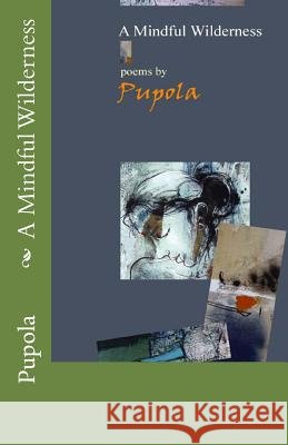 A Mindful Wilderness Pupola 9781494232559 Createspace - książka
