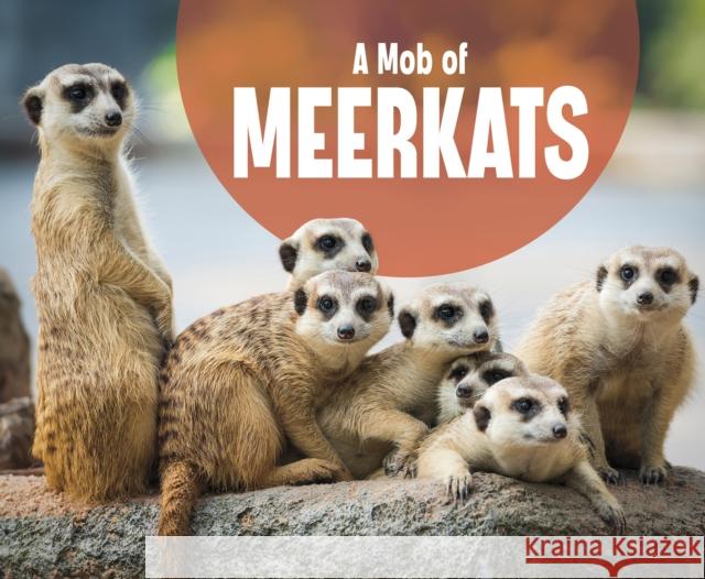 A Mob of Meerkats Martha E. H. Rustad 9781474785334 Capstone Global Library Ltd - książka