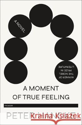 A Moment of True Feeling Peter Handke 9781250767318 Picador USA - książka