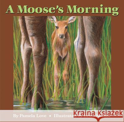 A Moose's Morning Pamela Love 9780892727339 Down East Books - książka