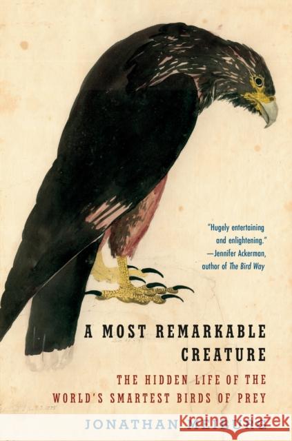 A Most Remarkable Creature: The Hidden Life of the World's Smartest Birds of Prey Meiburg, Jonathan 9781101911549 Vintage - książka