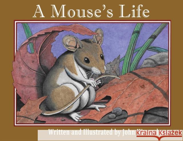 A Mouse's Life John Himmelman, John Himmelman 9781956381191 Mazo Publishers - książka