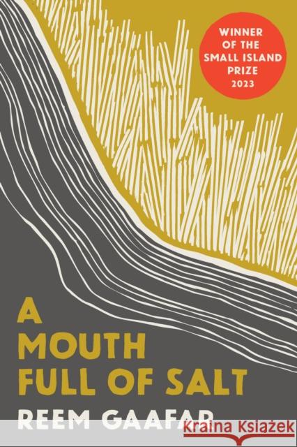 A Mouth Full of Salt Reem Gaafar 9780863567728 Saqi Books - książka