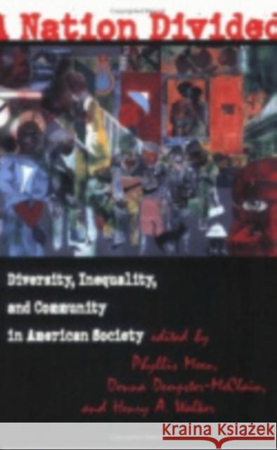 A Nation Divided: Diversity, Inequality, and Community in American Society Moen, Phyllis 9780801485886 Cornell University Press - książka