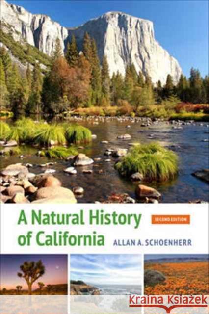 A Natural History of California: Second Edition Schoenherr, Allan A. 9780520290372 John Wiley & Sons - książka