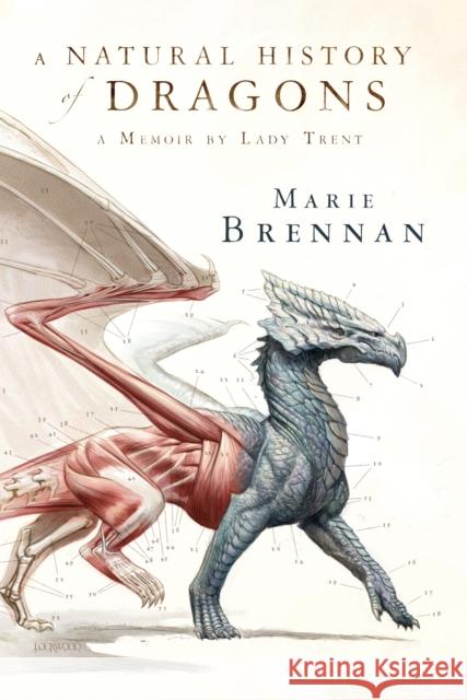 A Natural History of Dragons: A Memoir by Lady Trent Marie Brennan 9780765375070 Tor Books - książka