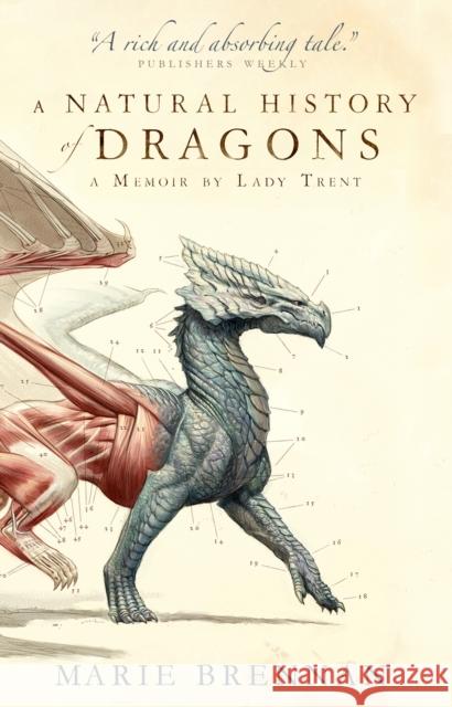 A Natural History of Dragons: A Memoir by Lady Trent Marie Brennan 9781783292394 Titan Books Ltd - książka