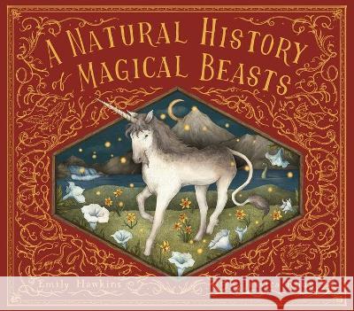 A Natural History of Magical Beasts Emily Hawkins Jessica Roux 9780711278820 Frances Lincoln Ltd - książka