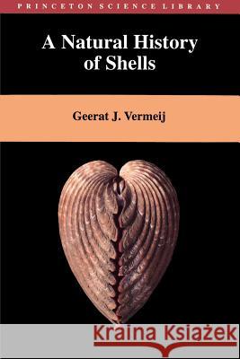 A Natural History of Shells Geerat J. Vermeij 9780691001678 Princeton University Press - książka