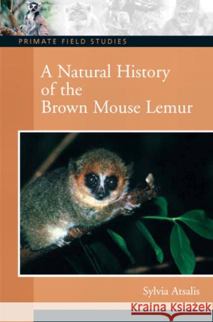 A Natural History of the Brown Mouse Lemur Sylvia Atsalis 9780132432719 Prentice Hall - książka
