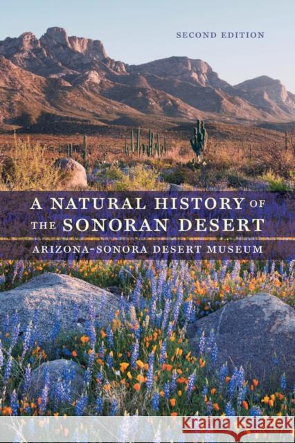 A Natural History of the Sonoran Desert Arizona–sonora, ; Phillips, Steven John; Comus, Patricia Wentwo 9780520287471 John Wiley & Sons - książka