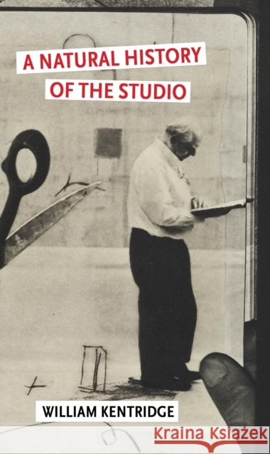 A Natural History of the Studio William Kentridge 9781804711255 Atlantic Books - książka