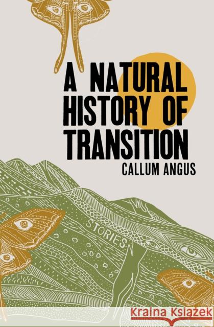 A Natural History of Transition: Stories Callum Angus 9781999058876 Metonymy Press - książka