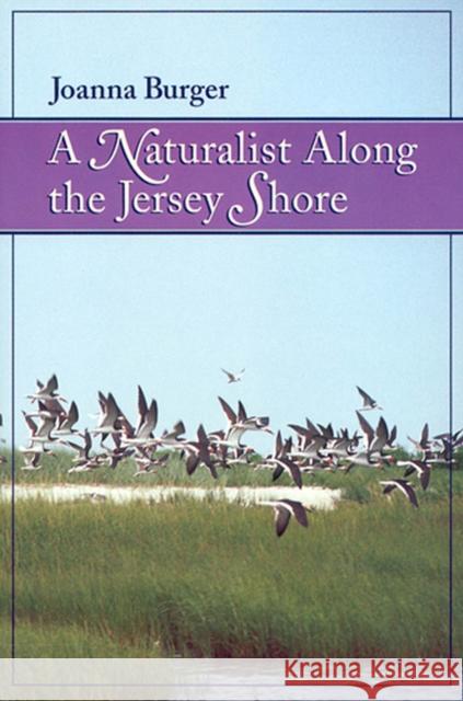 A Naturalist Along the Jersey Shore Burger, Joanna 9780813523002 Rutgers University Press - książka