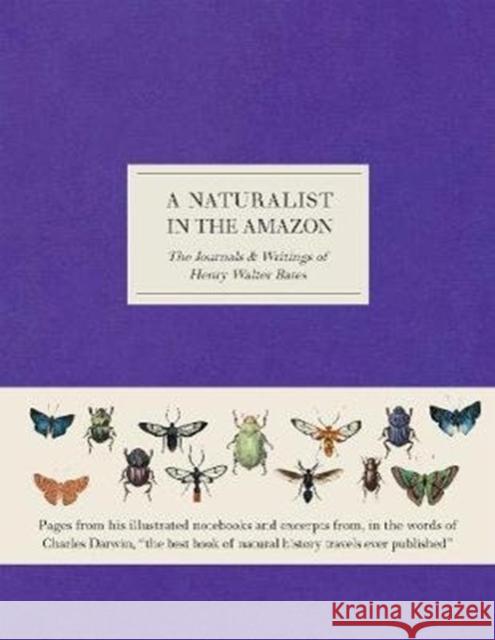 A Naturalist in the Amazon: The Journals & Writings of Henry Walter Bates Henry Walter Bates 9780565094621 The Natural History Museum - książka