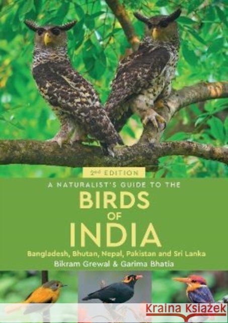 A Naturalist's Guide to the Birds of India Bikram Grewal 9781913679347 John Beaufoy Publishing Ltd - książka