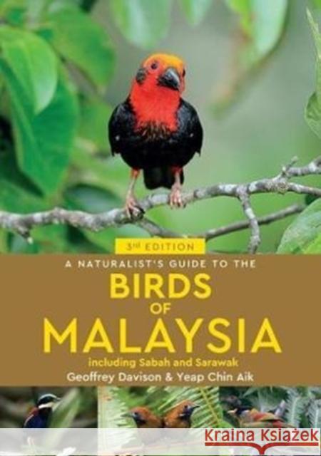 A Naturalist's Guide To Birds of Malaysia (3rd edition) Yeap Chin Aik 9781912081639  - książka