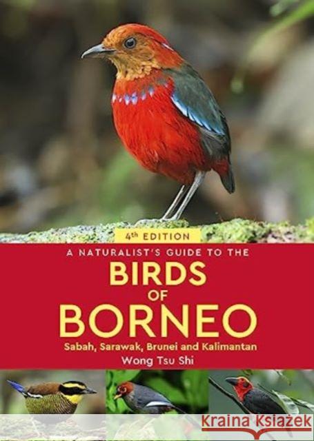 A Naturalist's Guide to the Birds of Borneo: Sabah, Sarawak, Brunei and Kalimantan Wong Tsu Shi 9781913679446 John Beaufoy Publishing Ltd - książka