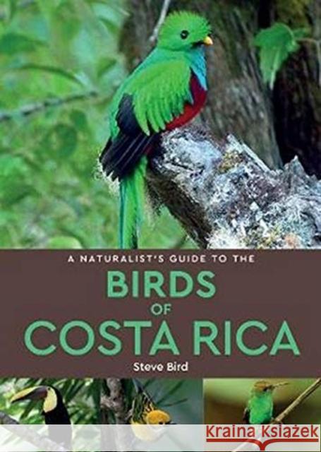 A Naturalist’s Guide to the Birds of Costa Rica (2nd edition) Steve Bird 9781912081028 John Beaufoy Publishing Ltd - książka