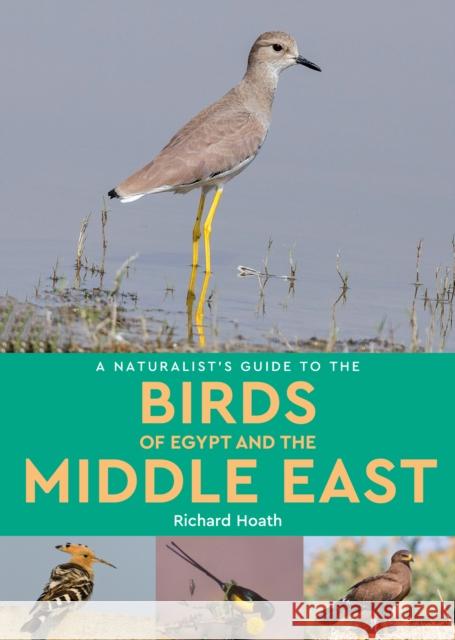 A Naturalist's Guide to the Birds of Egypt and the Middle East Richard Hoath 9781913679026 John Beaufoy Publishing Ltd - książka